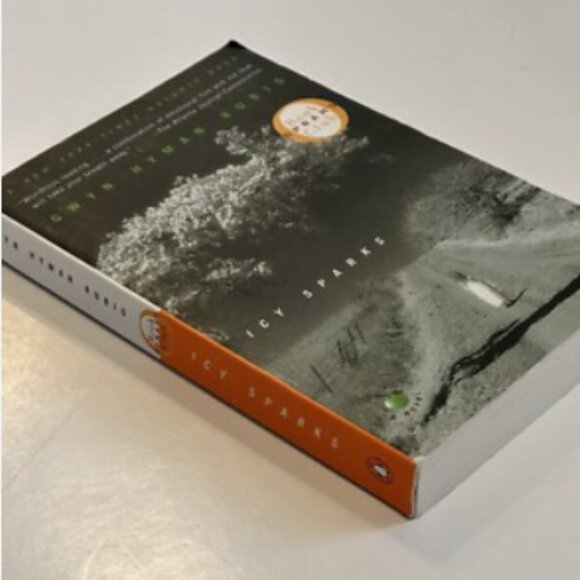 4/$30 Bundle; Novel: "Icy Sparks' (Oprah's Book Club) By Gwyn Hyman Rubio - Picture 7 of 8